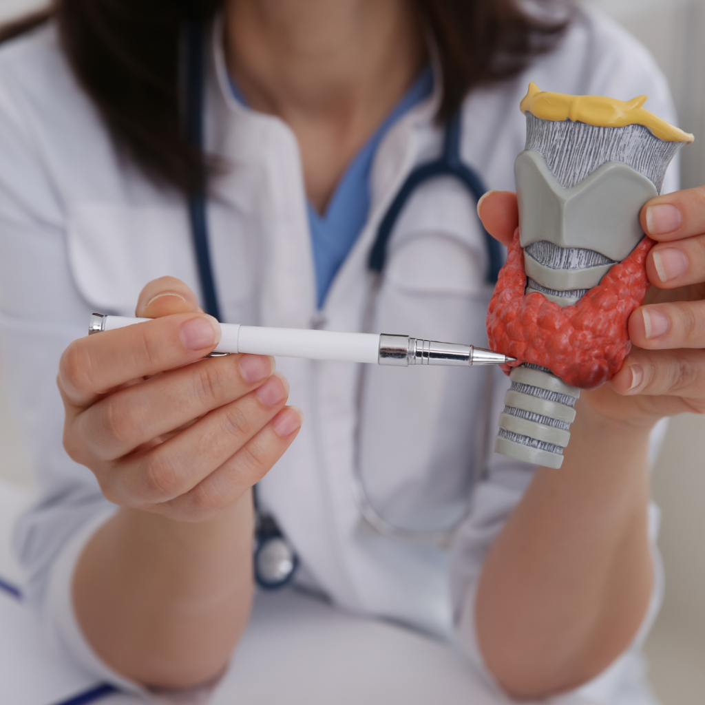 thyroid function tests