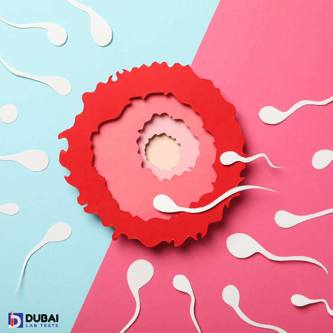 Fertility Package - Male