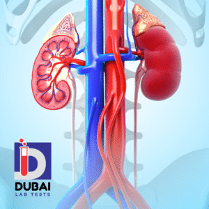 Accurate Kidney Function