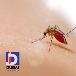 Dengue NS1 Antigen Test