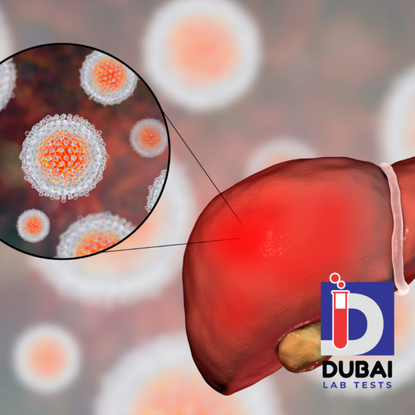 Hepatitis E Virus