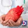 Lipoprotein (a) test