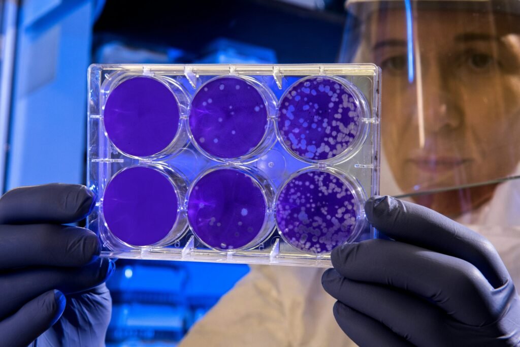 Process of Getting DNA Tested